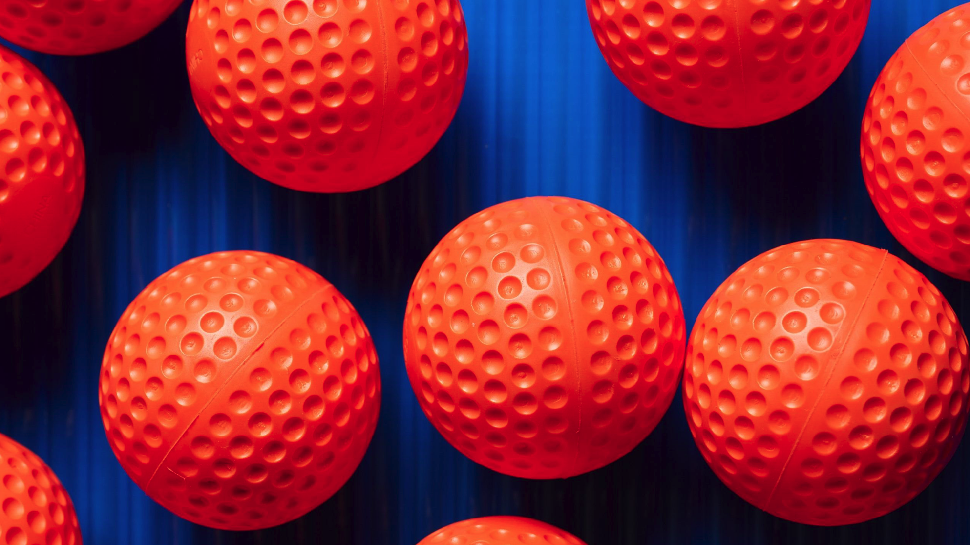 People celebrating in a bar